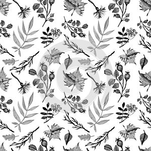 Autumn background. Hand drawn autumn watercolor seamless pattern with leaves, branches, berries, knapweed, maple leaves