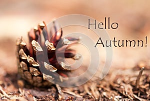 Autumn Background with Hello Autumn
