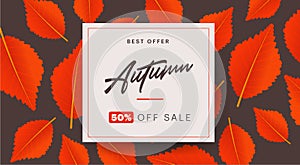 Autumn background layout decorate with leaves for shopping sale or promo poster and frame leaflet or web banner. Vector