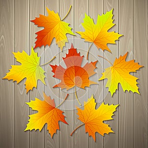 Autumn background with leaf and wood texture
