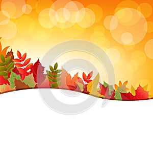 Autumn Background With Leafs