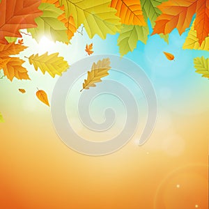 Autumn background with leafs