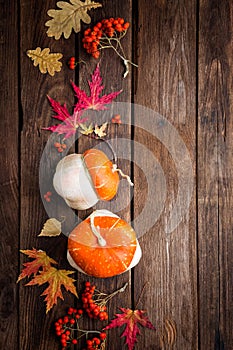 Autumn background with leaves and pumpkins, thanksgiving and halloween card