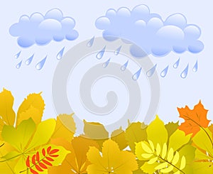 Autumn background with leaves and rain