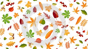 Autumn background with leaves. Seamless pattern