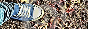 Autumn background. Legs of a young woman in a blue sneakers