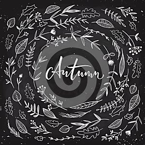 Autumn background with lettering with flowers and leaves
