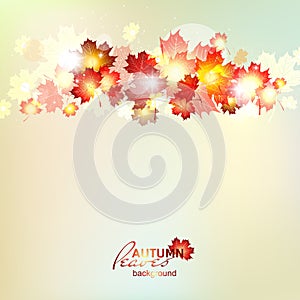 Autumn background with maple gold leaves