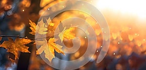 Autumn background with maple leaves, copy space, Generative AI 2