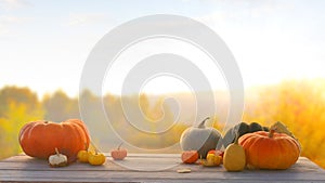 Autumn background with maple leaves and pumpkins.Harvest or Thanksgiving background