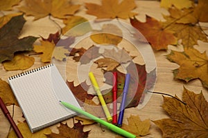 Autumn background. Notebook and felt-tip pens on a wooden background with autumn leaves.