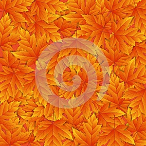 Autumn background with orange leafs