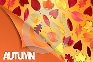 Autumn background. Orange and red falling leaves, glowing lights garland and peeling off wrapping paper.