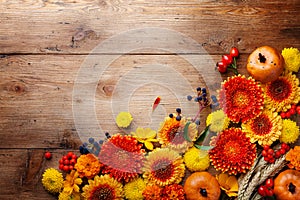 Autumn background with orange and yellow gerbera flowers, decorative pumpkins, wheat ears. Composition for Thanksgiving day