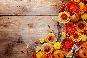 Autumn background with orange and yellow gerbera flowers, red berries, decorative pumpkins, wheat ears. Thanksgiving day