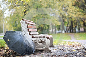 Autumn background in the park