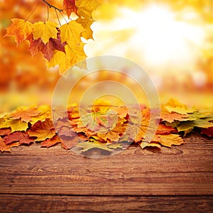 Autumn background product montage display. Mock up for design..