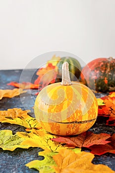 autumn background with pumpkins and leaves