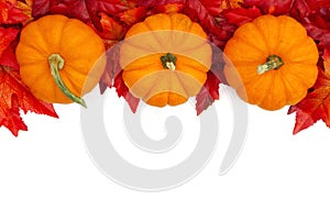 Autumn background with a pumpkins and red and orange fall leaves