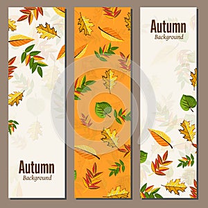 Autumn background raster illustration