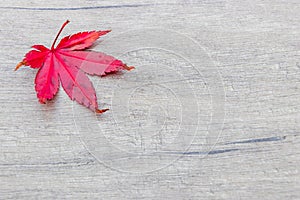 Autumn background, red maple leaf top left on wooden plate, stone plate