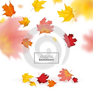 Autumn Background with Red and Yellow Maple Leaves. Nature Fall Seasonal Design Template for Web Banner, Leaflet, Sale