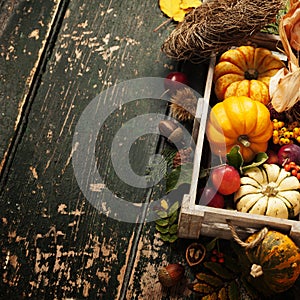 Autumn background with seasonal fruits, vegetables and leaves, copy space