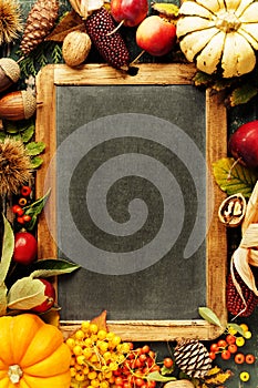 Autumn background with seasonal fruits, vegetables and leaves, copy space