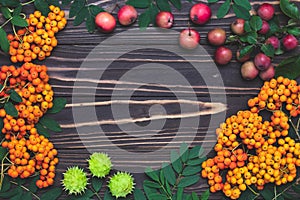 Autumn background, September mockup, template with copy space, harvest still life on dark board. Thanksgiving card, seasonal frame