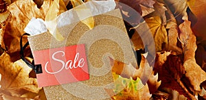 Autumn background with shopping bag, sale tag and leaves