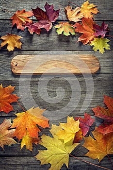 Autumn background with signboard, orange leaf on old grunge wood