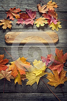 Autumn background with signboard, orange leaf on old grunge wood