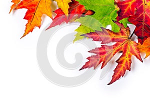 Autumn Background
