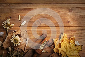 Autumn background with spices, dried flowers, copy place for ins