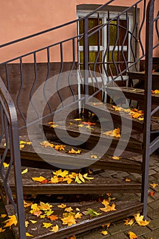 Autumn background, stairs, fallen yellow maple leaves