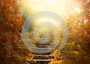 Autumn background, stairs to the sky. amazing mysterious road steps