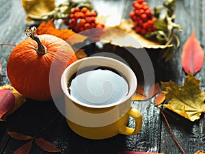 Autumn background for thanksgiving or seasonal holiday. Coffee mug, pumpkin and colorful leaves