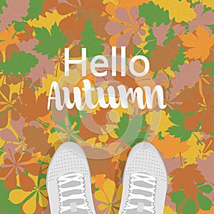 Autumn background, top view. Sneakers stand on the colorful leaves of an oak chestnut and maple.