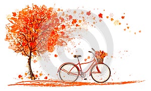 Autumn background with a tree and a bicycle.