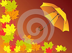 Autumn background with umbrella