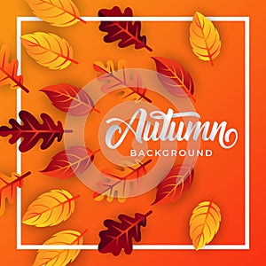 Autumn background vector with decorative leaves. Autumn fall Vector background template. Abstract Autumn background design