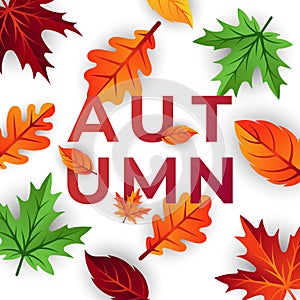 Autumn background vector with decorative leaves. Autumn fall Vector background template. Abstract Autumn background design