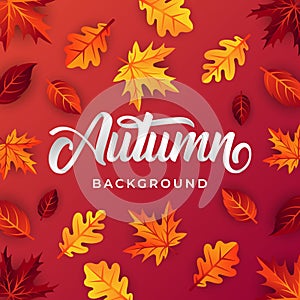 Autumn background vector with decorative leaves. Autumn fall Vector background template. Abstract Autumn background design