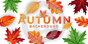 Autumn background vector with decorative leaves. Autumn fall Vector background template. Abstract Autumn background design