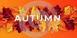 Autumn background vector with decorative leaves. Autumn fall Vector background template. Abstract Autumn background design