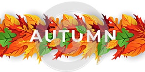 Autumn background vector with decorative leaves. Autumn fall Vector background template. Abstract Autumn background design