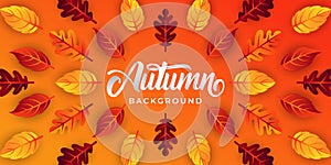 Autumn background vector with decorative leaves. Autumn fall Vector background template. Abstract Autumn background design