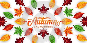 Autumn background vector with decorative leaves. Autumn fall Vector background template. Abstract Autumn background design