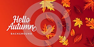 Autumn background vector with decorative leaves. Autumn fall Vector background template. Abstract Autumn background design