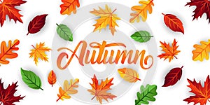 Autumn background vector with decorative leaves. Autumn fall Vector background template. Abstract Autumn background design